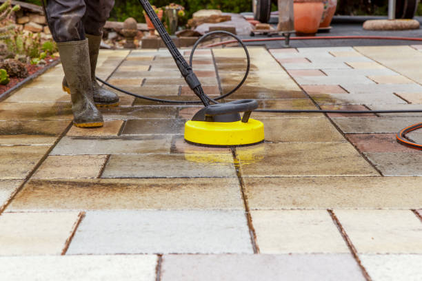 Best Fence Cleaning  in Mount Dora, FL