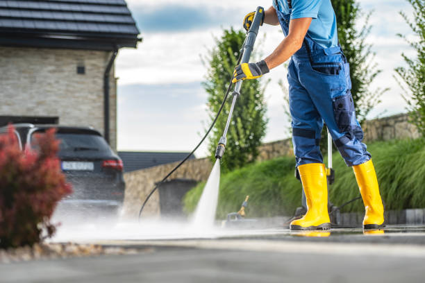 Best Sidewalk and Walkway Cleaning  in Mount Dora, FL